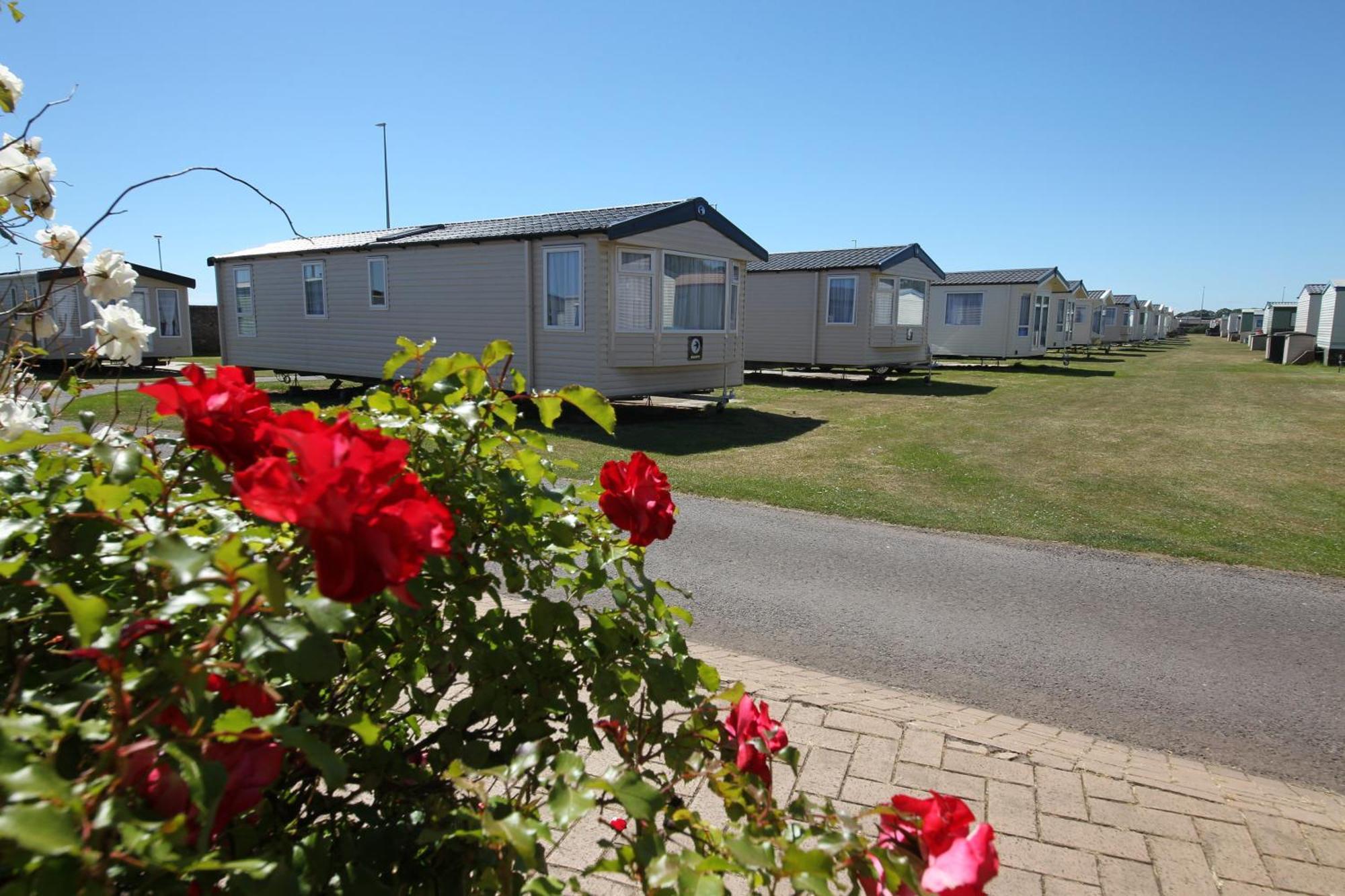 Red Lion Holiday Park Arbroath Eksteriør billede